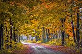 Autumn Back Road_P1200254
